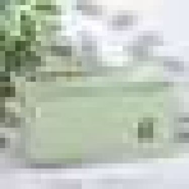 Корзина для хранения с ручками Доляна «Авокадо», 23×16×12 см, цвет фисташковый